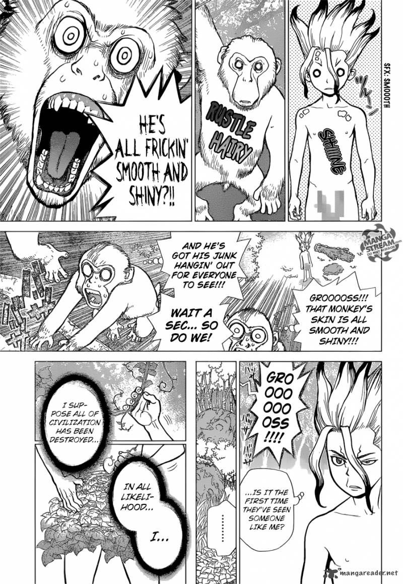 Dr. Stone Manga Chapter 13 page 5 - Part 1: Stone World: The Beginning scene