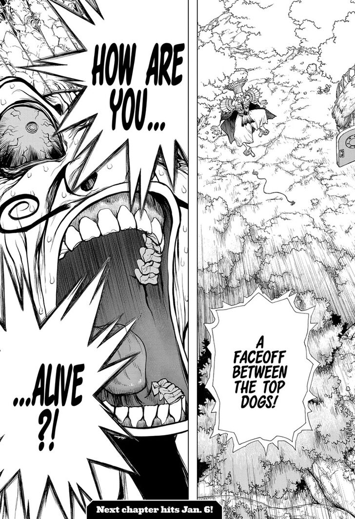 Dr. Stone Manga Chapter 134 page 19 - Commander Faceoff scene