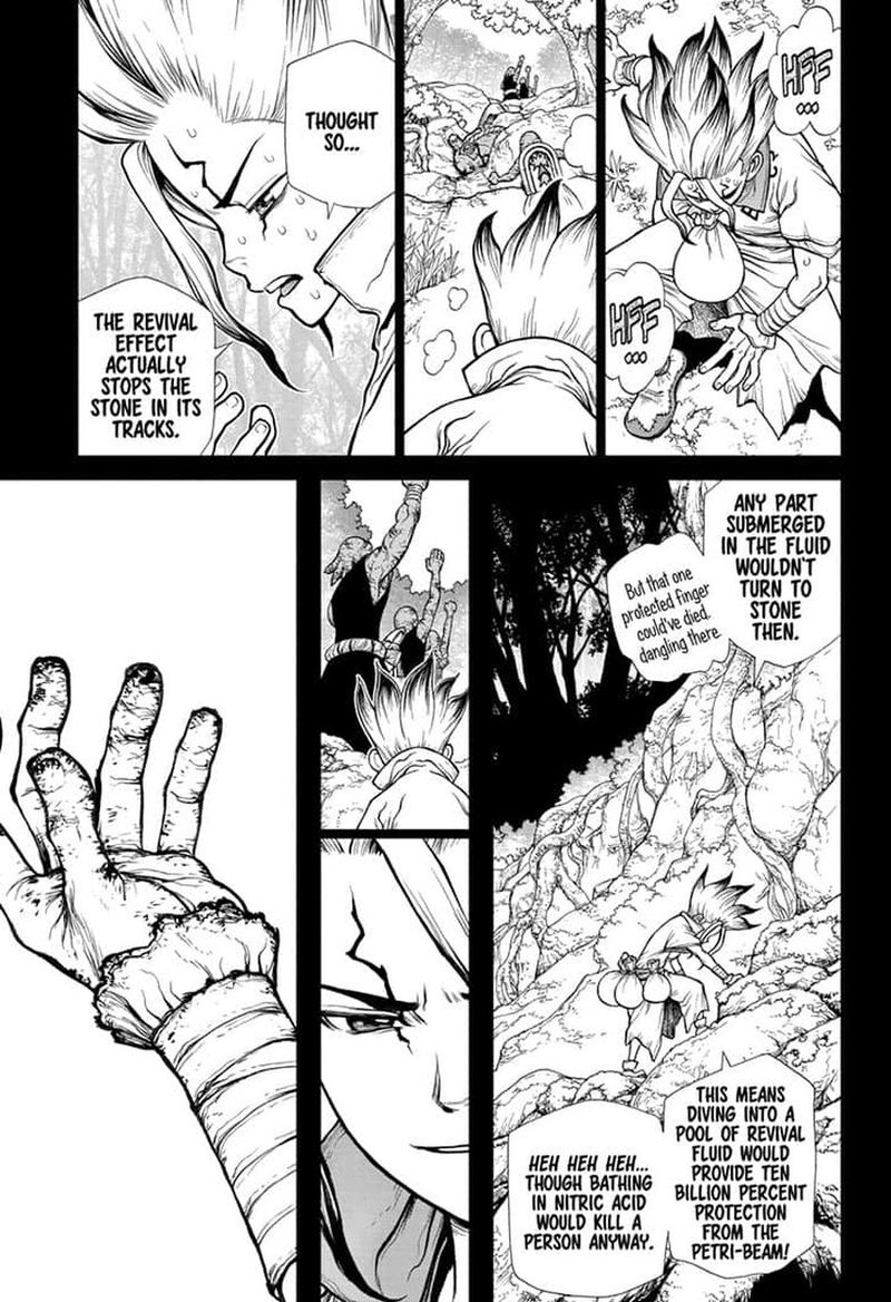 Dr. Stone Manga Chapter 135 page 11 - Counting scene