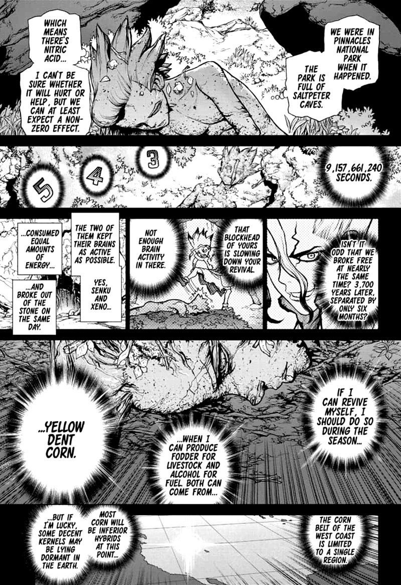 Dr. Stone Manga Chapter 157 page 14 - Same Time, Same Place scene