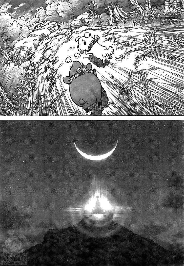 Dr. Stone Manga Chapter 193 page 14 - Our Stone World scene