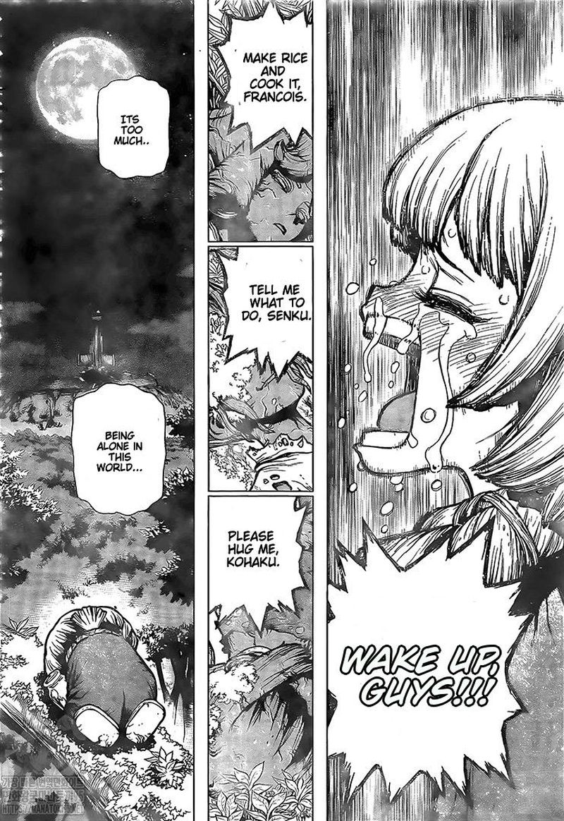 Dr. Stone Manga Chapter 194 page 13 - Homo Sapiens, All Alone scene