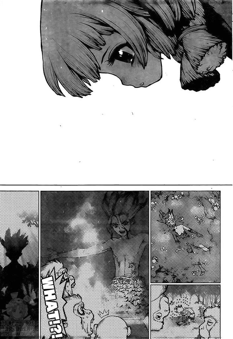 Dr. Stone Manga Chapter 194 page 14 - Homo Sapiens, All Alone scene