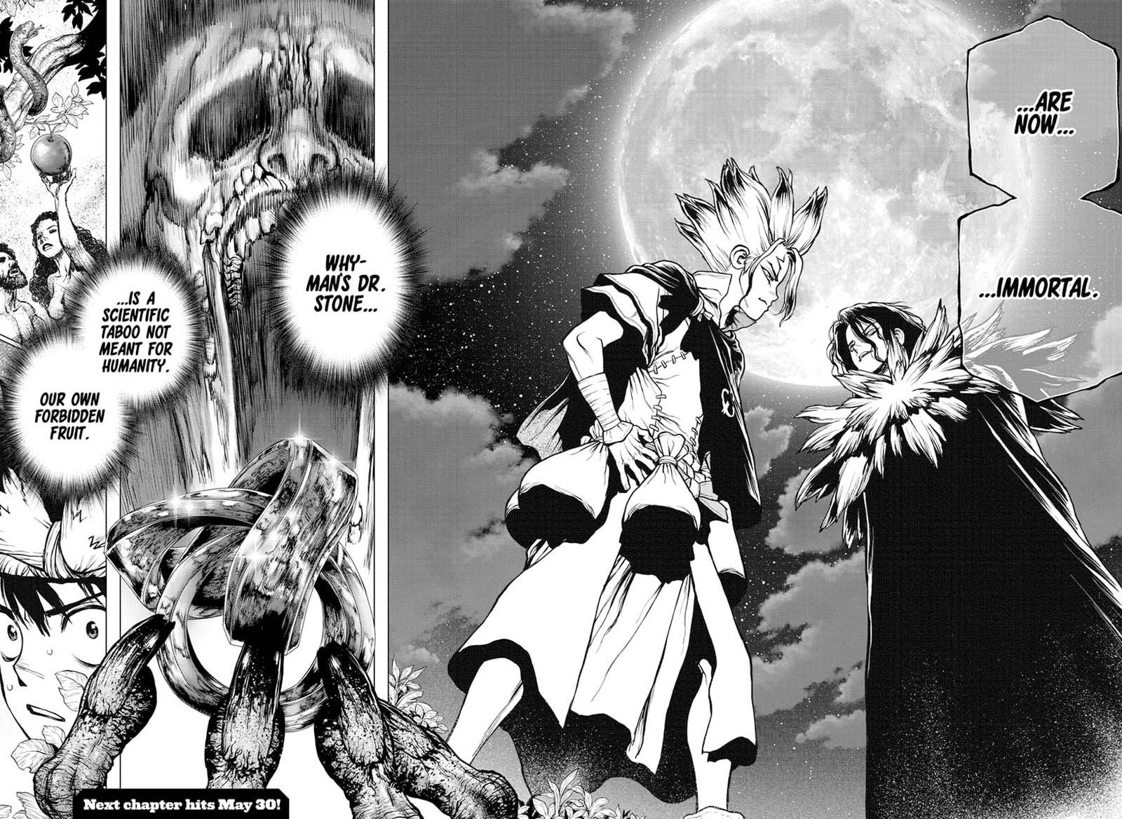 Dr. Stone Manga Chapter 197 page 17 - A Stony Eden and Its Forbidden Fruit scene