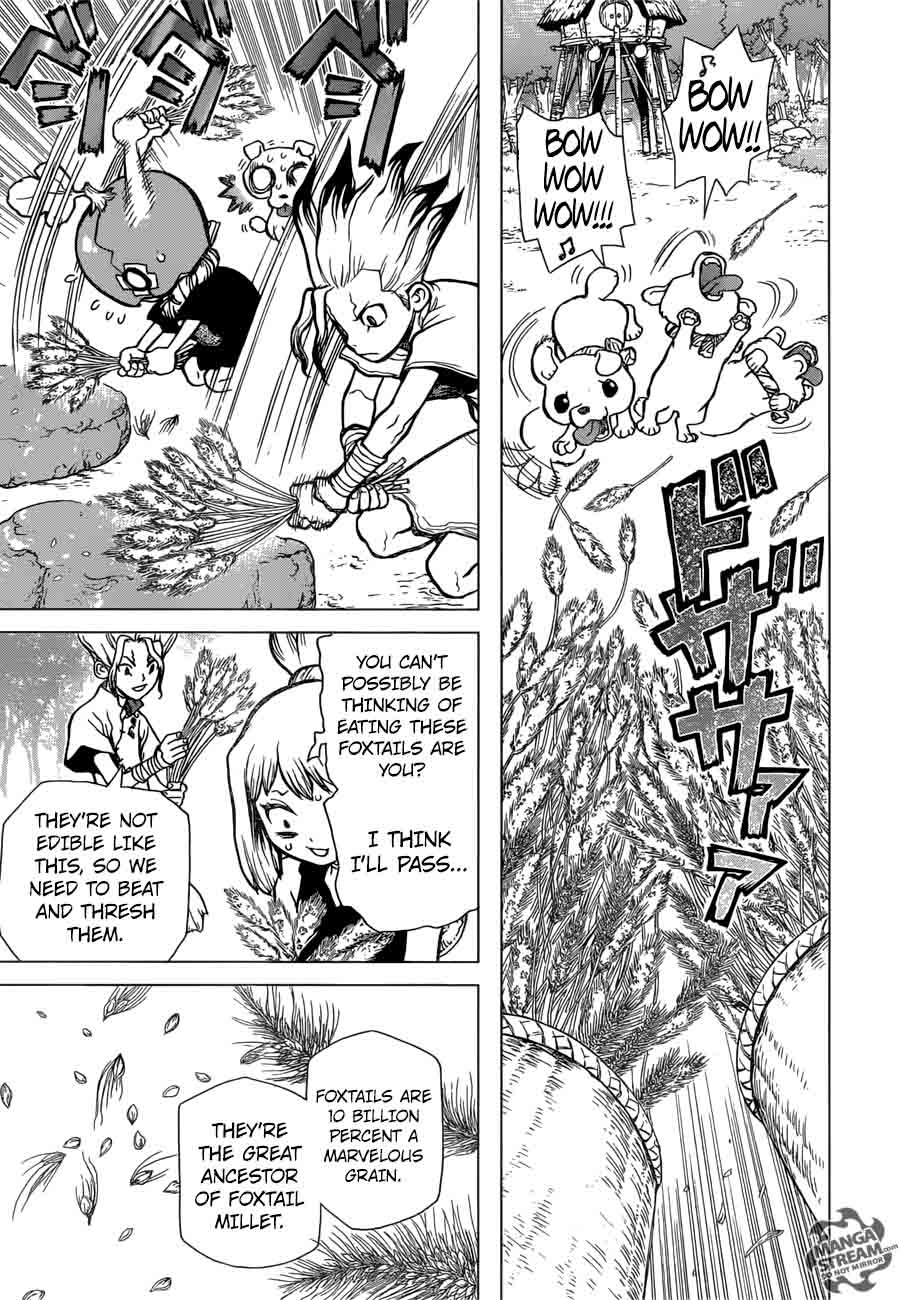Dr. Stone Manga Chapter 22 page 11 - Survival Gourmet scene