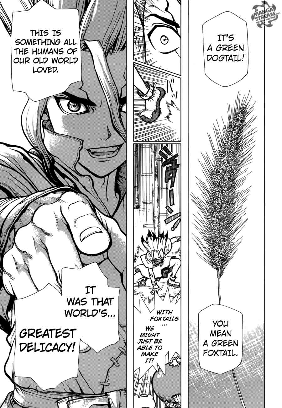 Dr. Stone Manga Chapter 22 page 9 - Survival Gourmet scene