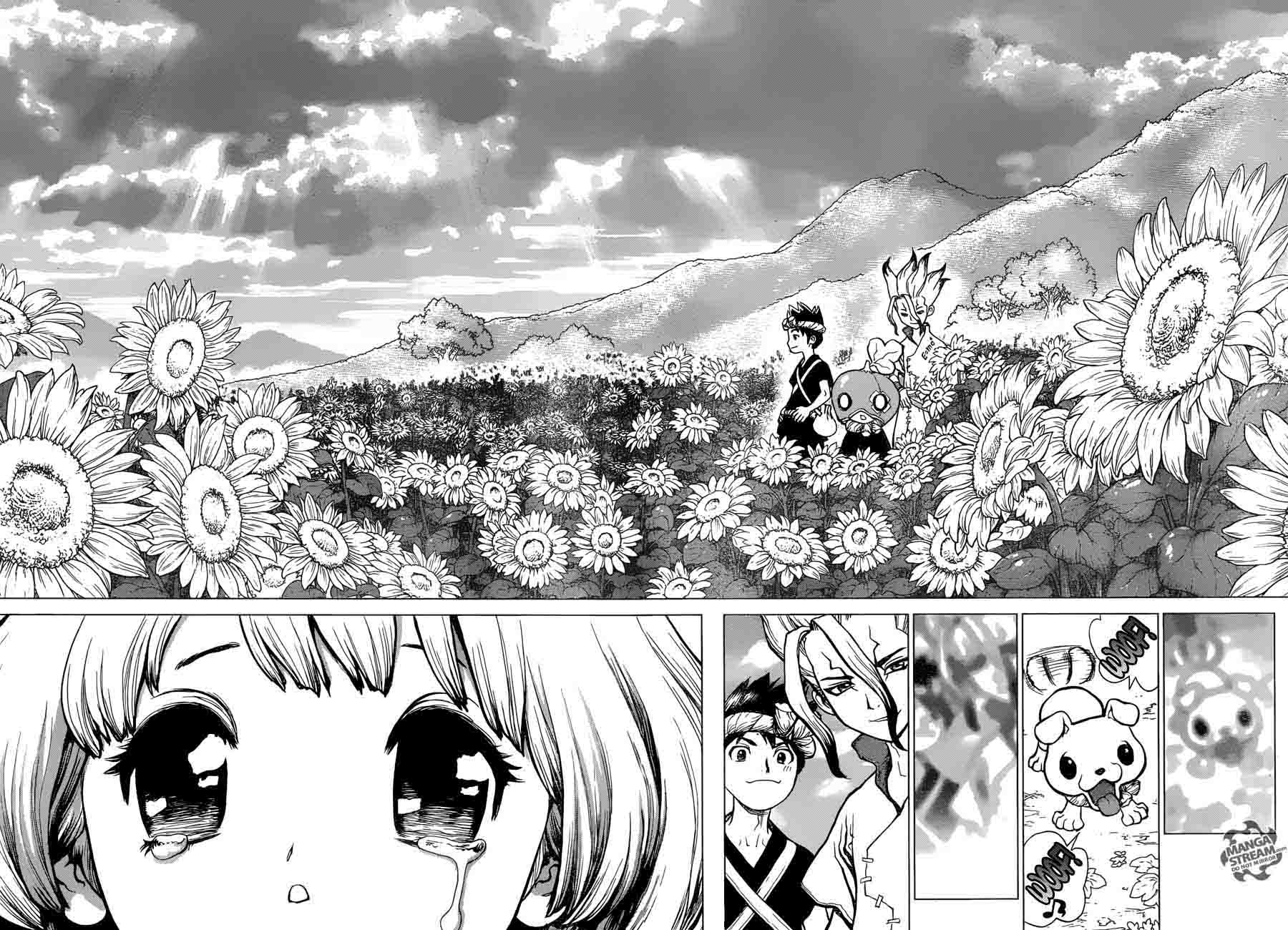 Dr. Stone Manga Chapter 28 page 14 - Clear World scene