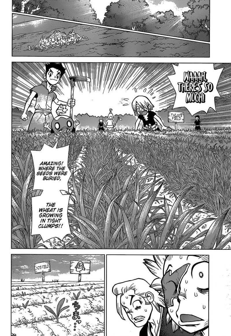 Dr. Stone Manga Chapter 91 page 11 - Need Bread? Start with Wheat scene
