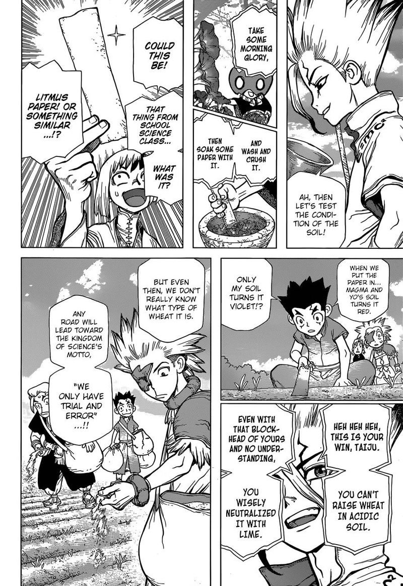 Dr. Stone Manga Chapter 91 page 13 - Need Bread? Start with Wheat scene
