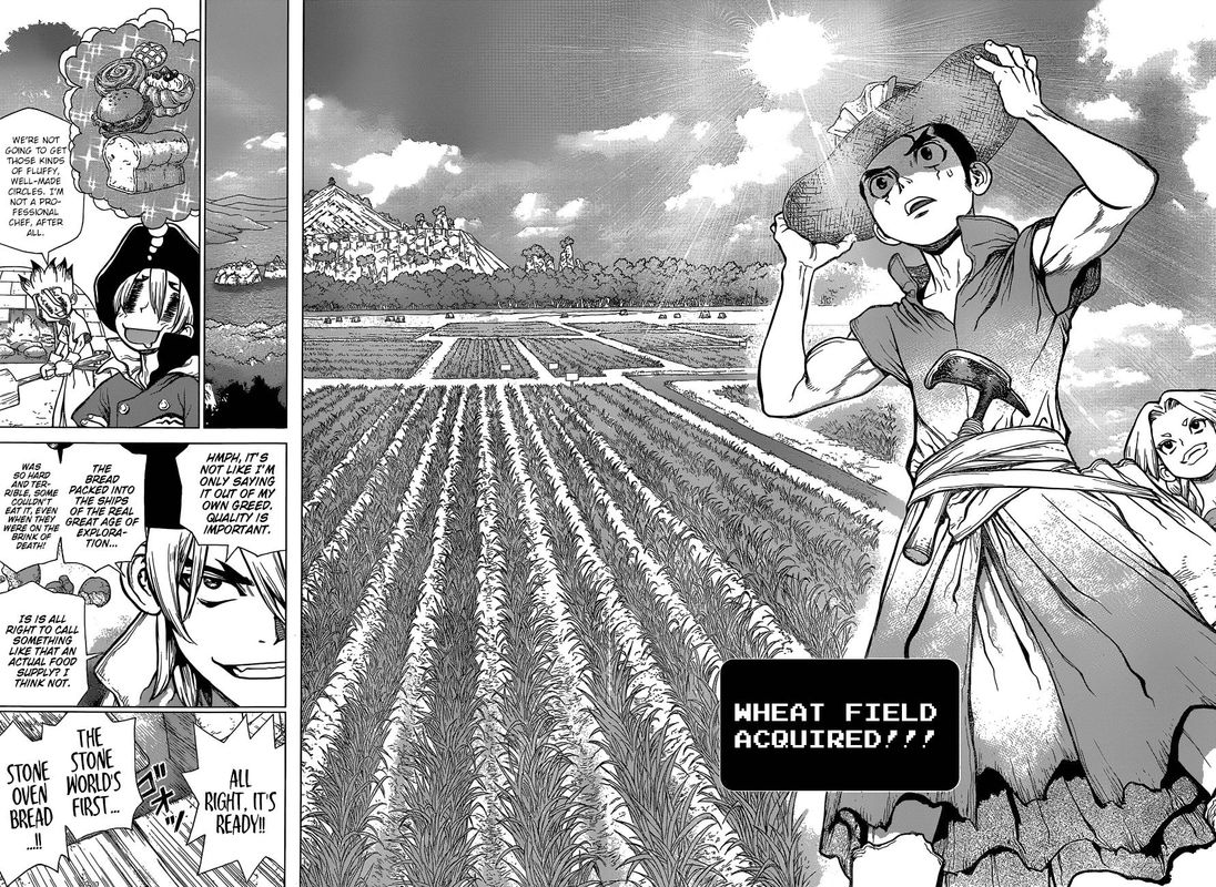 Dr. Stone Manga Chapter 91 page 14 - Need Bread? Start with Wheat scene