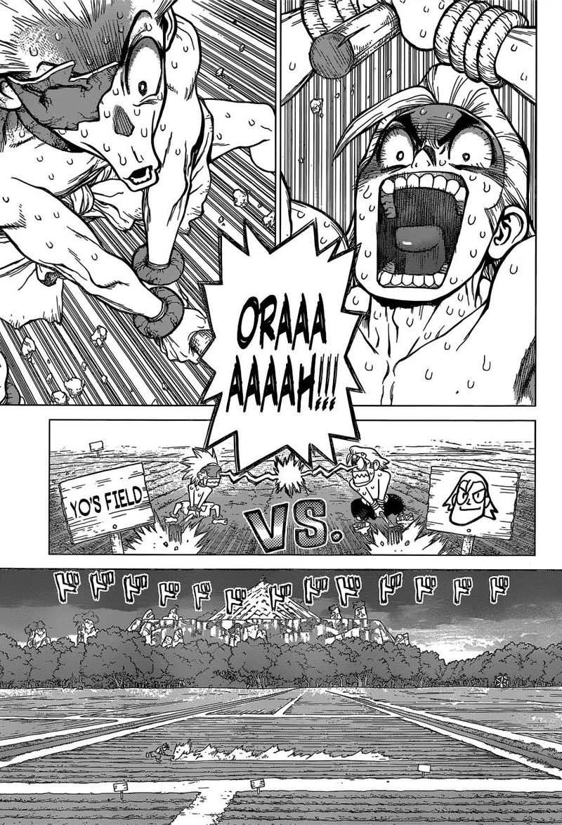 Dr. Stone Manga Chapter 91 page 8 - Need Bread? Start with Wheat scene